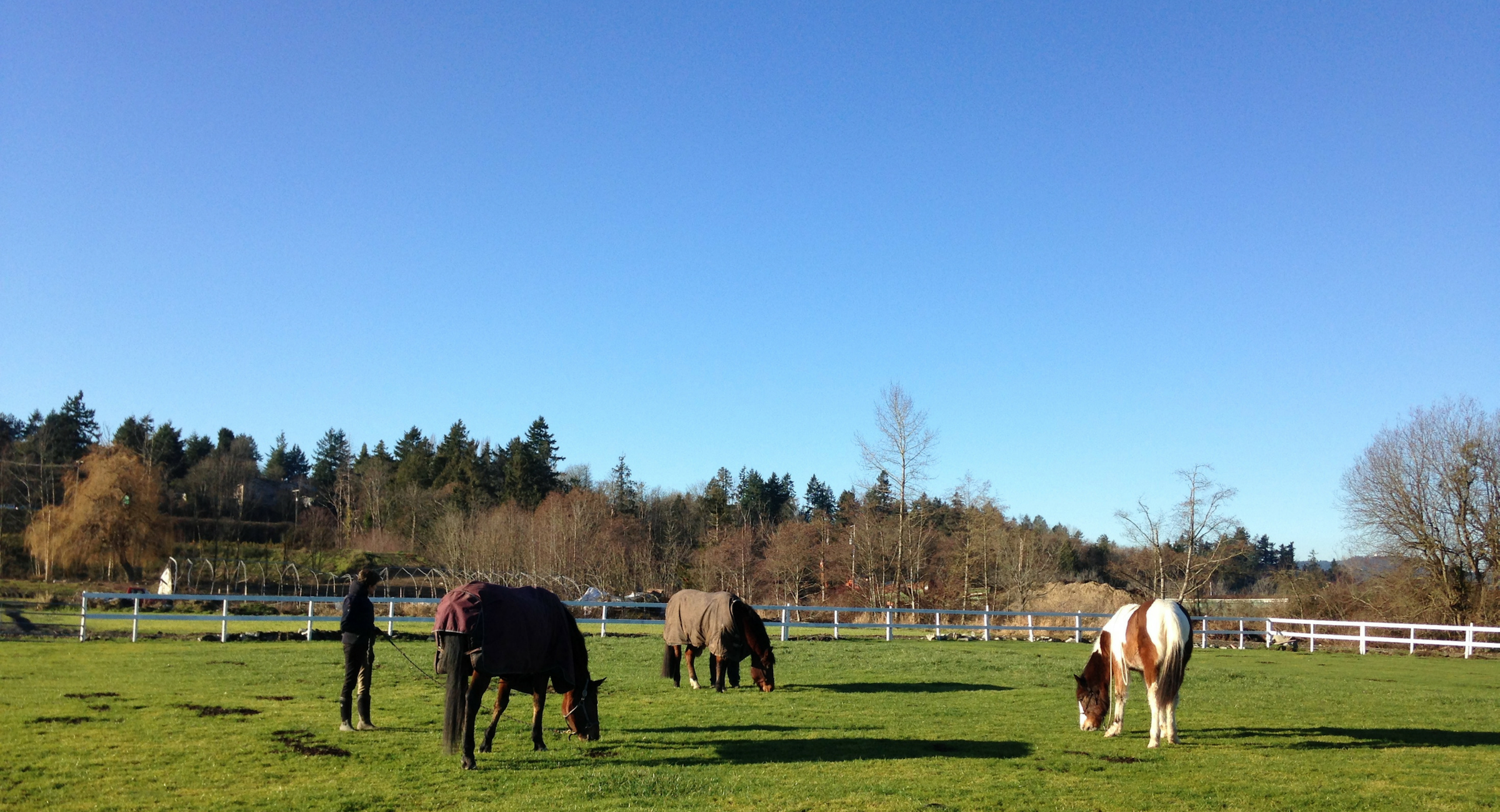 Danica Springs Farm Field